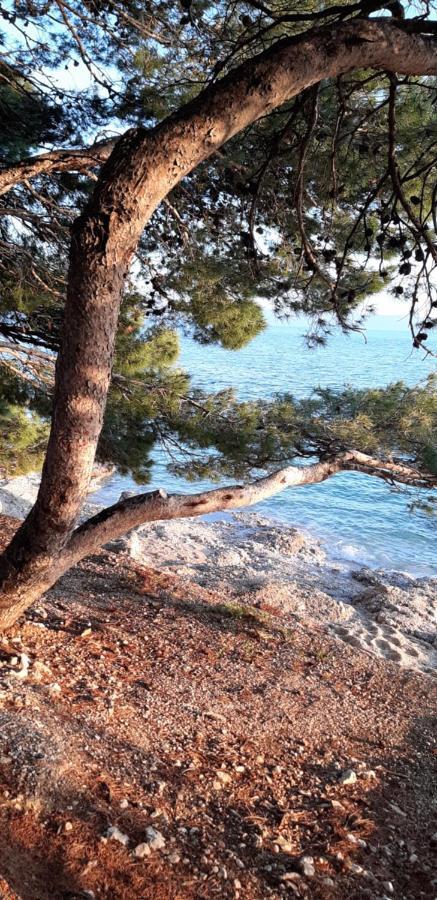 Apartment Rita Makarska Extérieur photo